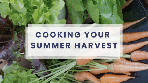Cooking Your Summer Harvest